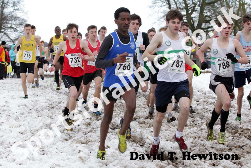 Weynay Ghebresilasie (Sunderland Harriers) way back in the field in the junior mens Northern Cross Country Championships.